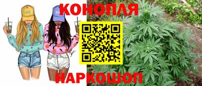 spice Краснознаменск