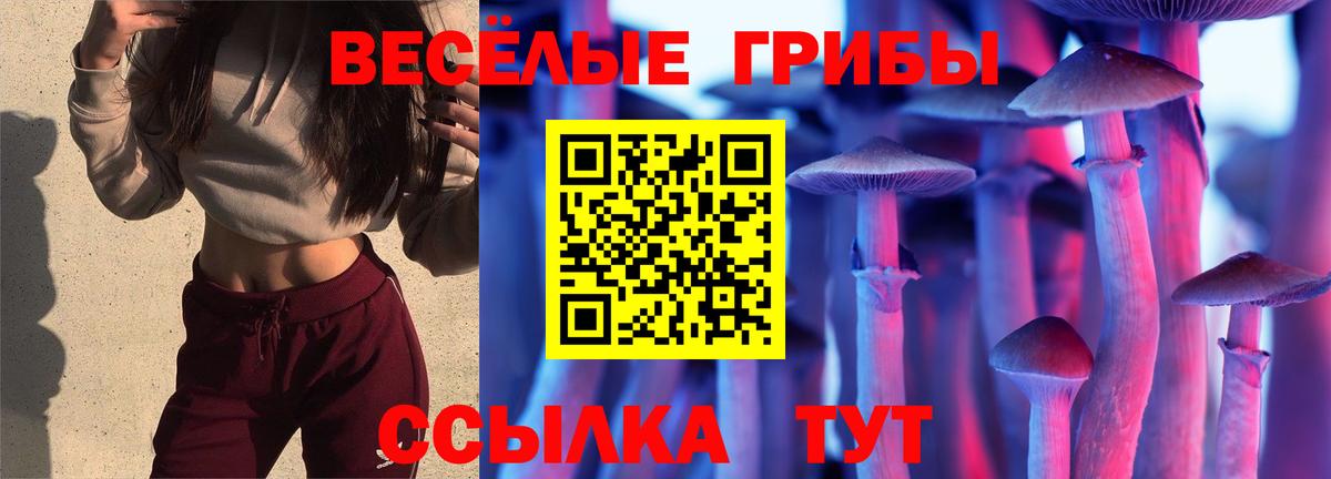 Псилоцибиновые грибы ЛСД Чистополь